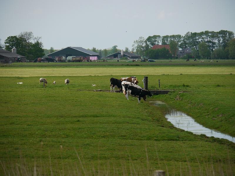 2016.05 Fryslan Bootstour - 30.jpg